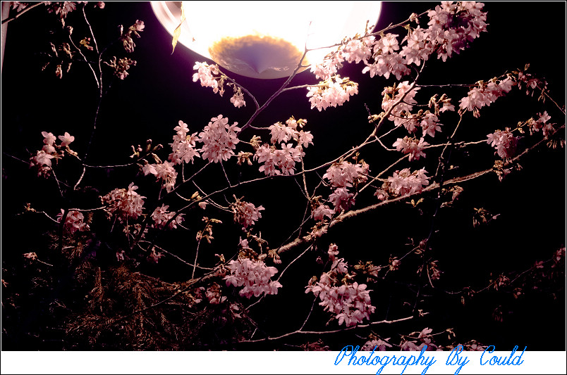 http://i.dcview.tw/gallery/201202/31cb03f1bcf7b08959fccfca8ab503fa.jpg