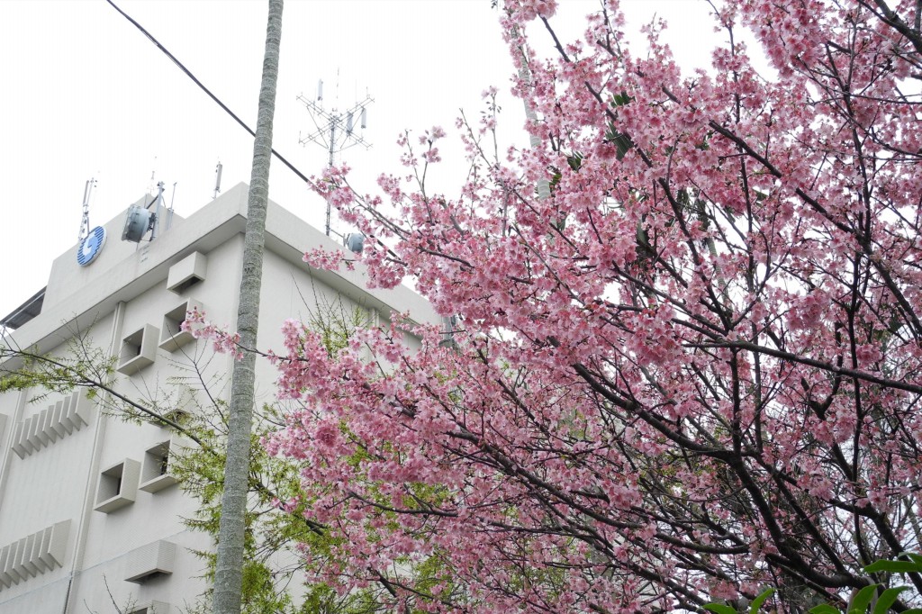 http://i.dcview.tw/gallery/201202/327e3a755a4571308a7fa84fd5166d2c.jpg