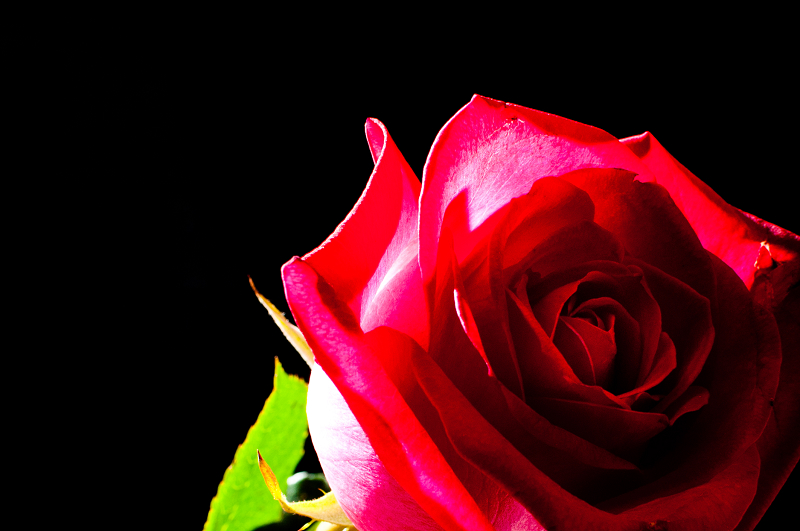 http://i.dcview.tw/gallery/201202/3291934a297e28d365cd36ed9731ed4d.jpg