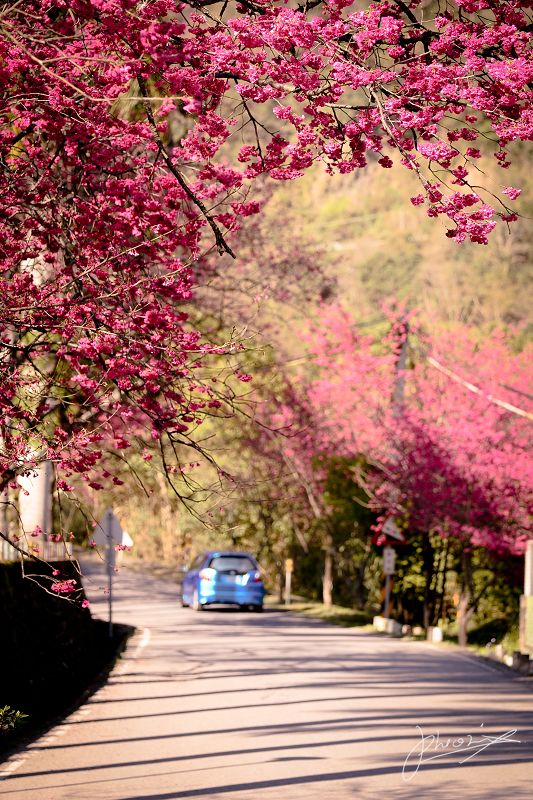 http://i.dcview.tw/gallery/201202/33942bfc6d1dc726d0360dedf7fd7ab2.jpg