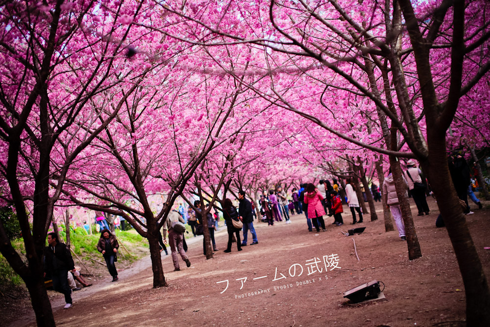http://i.dcview.tw/gallery/201202/38191ca8704b6b810cf6a8aa94f88fec.jpg
