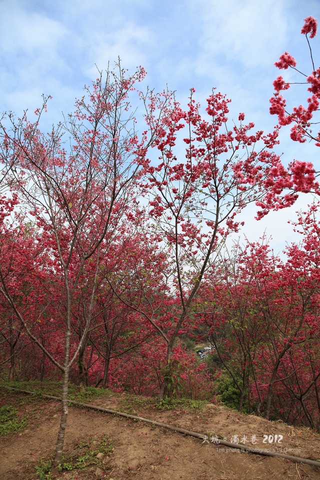 http://i.dcview.tw/gallery/201202/389f38196ef7677e491a63b9a3a6b711.jpg