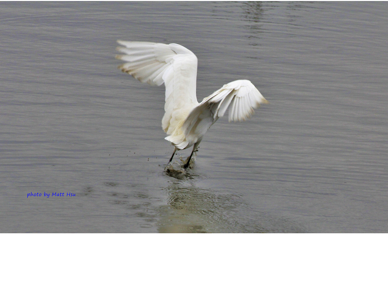 http://i.dcview.tw/gallery/201202/39166e5f745c74c575c3a04d41510547.jpg