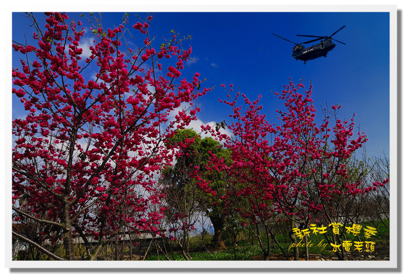 http://i.dcview.tw/gallery/201202/3b29e5d7dff79715a26f7f06620e6b78.jpg