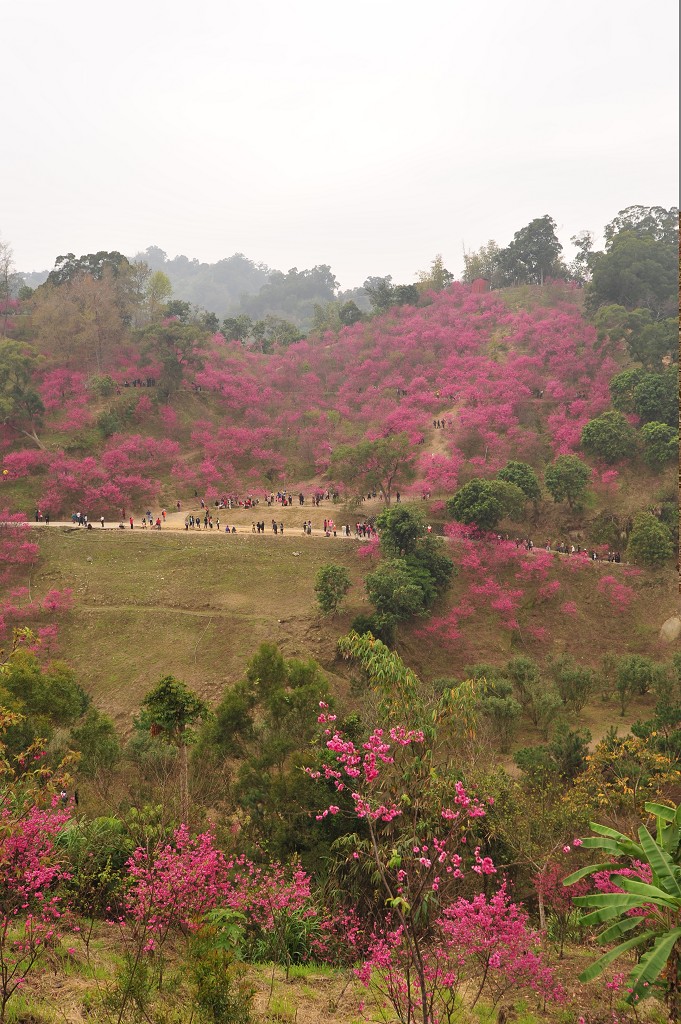 http://i.dcview.tw/gallery/201202/3c76b785d6782c9981726e60de85a491.jpg