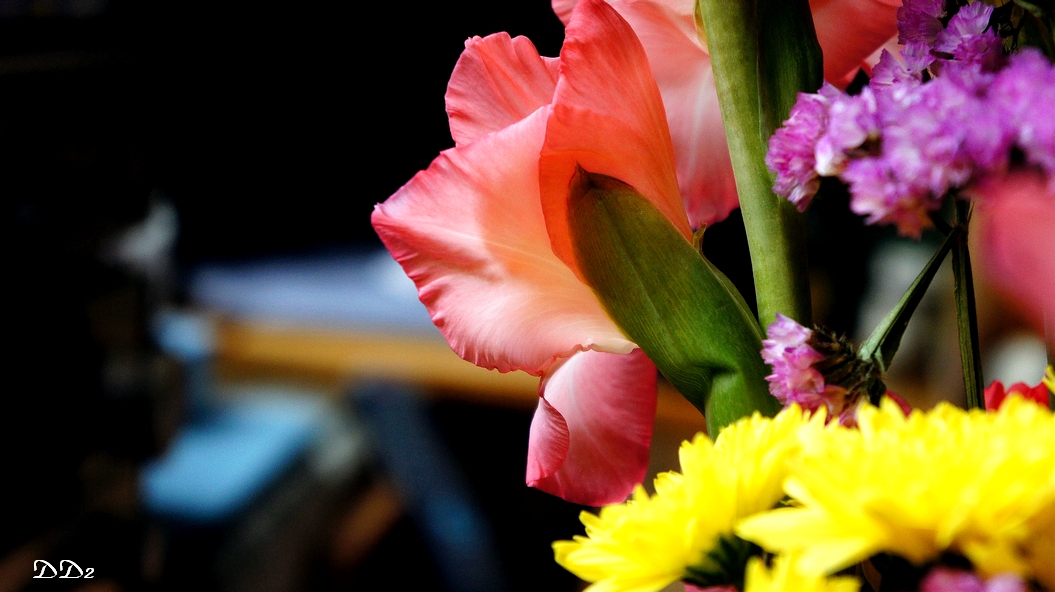 http://i.dcview.tw/gallery/201202/3d2d4494c94e92a01b96be9950d4130f.jpg