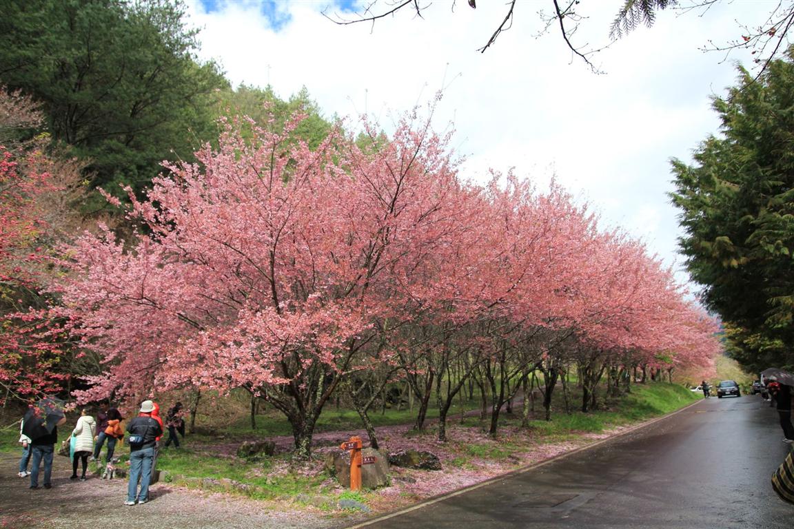http://i.dcview.tw/gallery/201202/3dae09cedf1d6d61f5f1bf924b8dea63.jpg