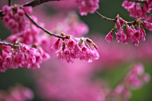 http://i.dcview.tw/gallery/201202/41c08122a816404b11208c7d18fdd104.jpg