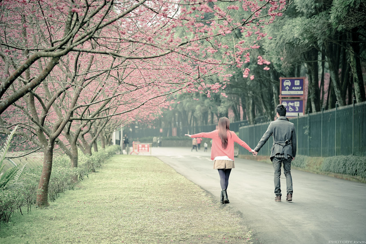 http://i.dcview.tw/gallery/201202/4331772418e31949093c1288a72007de.jpg