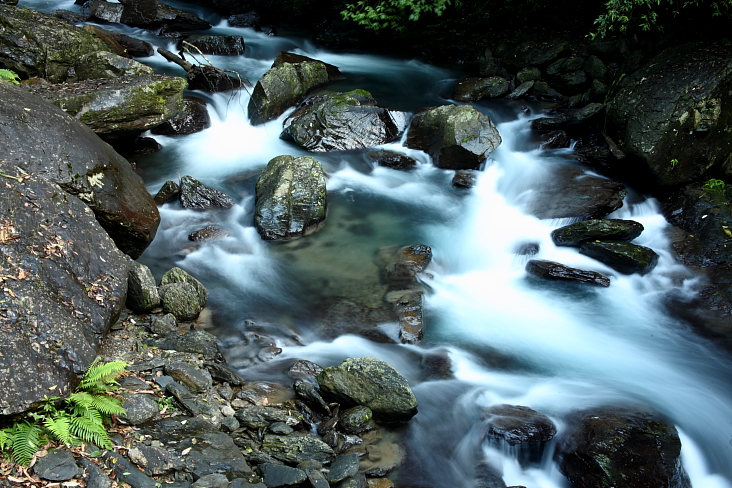 http://i.dcview.tw/gallery/201202/48e50eccc8a594219fe51950ed79d2d2.jpg
