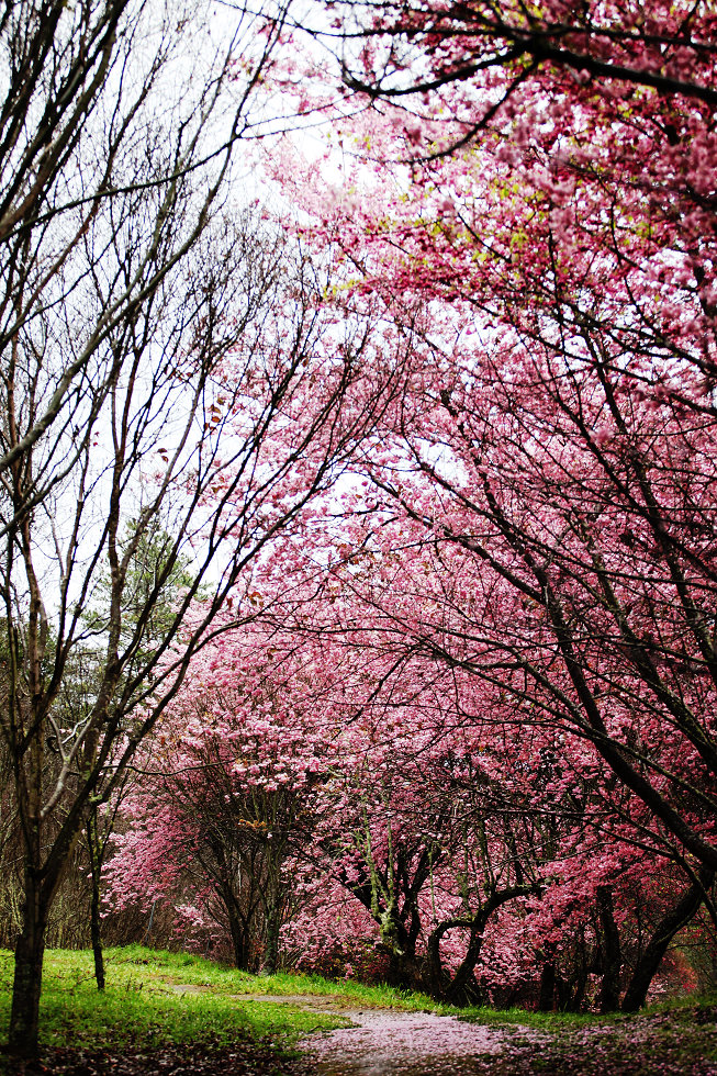http://i.dcview.tw/gallery/201202/4b7cb862f192cc2c49c0496a73ca3234.jpg