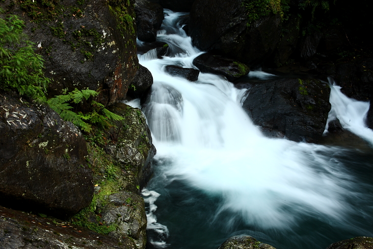http://i.dcview.tw/gallery/201202/4d5288666e52e0b6c957d27cf0dc4d83.jpg