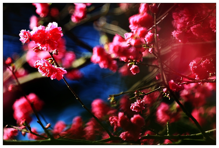 http://i.dcview.tw/gallery/201202/4df6a325b0c66ce6d99d6d9c98806619.jpg