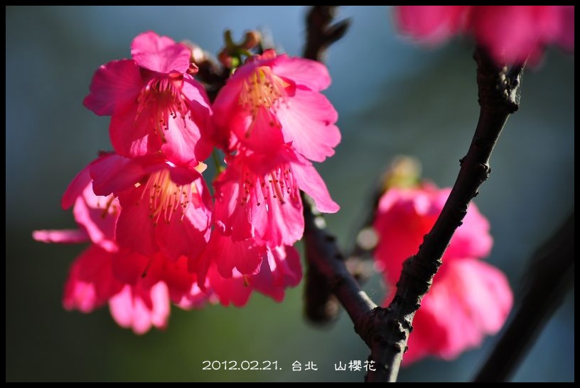 http://i.dcview.tw/gallery/201202/4f1eafa44feabed0dcdd0f38367d7656.jpg