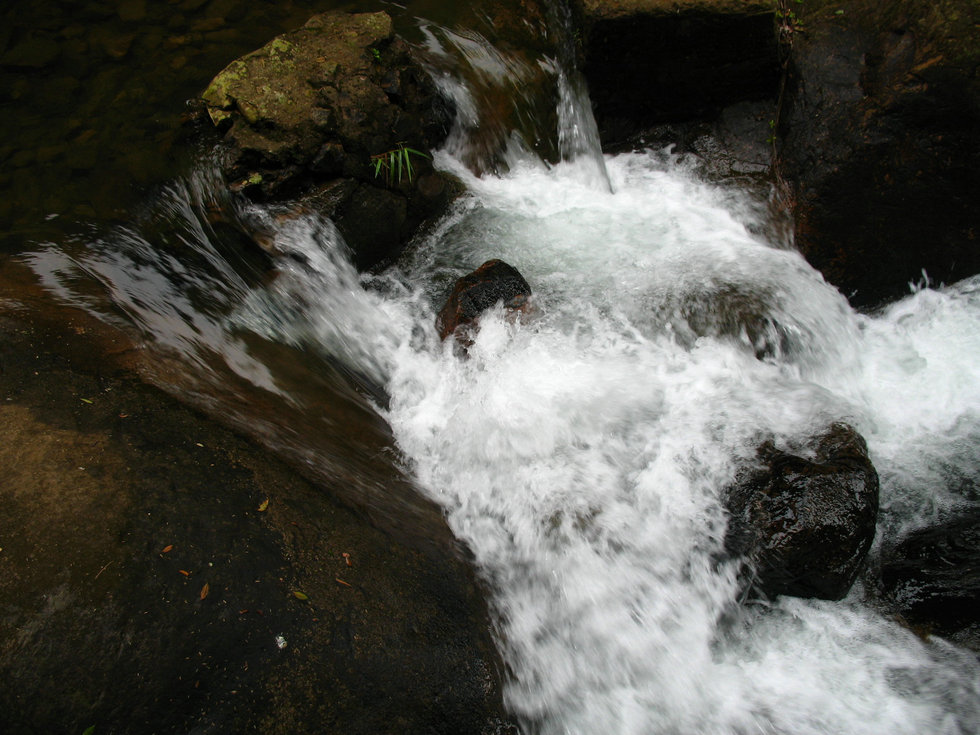 http://i.dcview.tw/gallery/201202/4f289e43d186e2c5c4debc81c3e86a13.jpg
