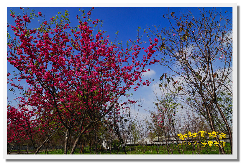 http://i.dcview.tw/gallery/201202/5094a914e1aad6ad651794aa18c4d10a.jpg