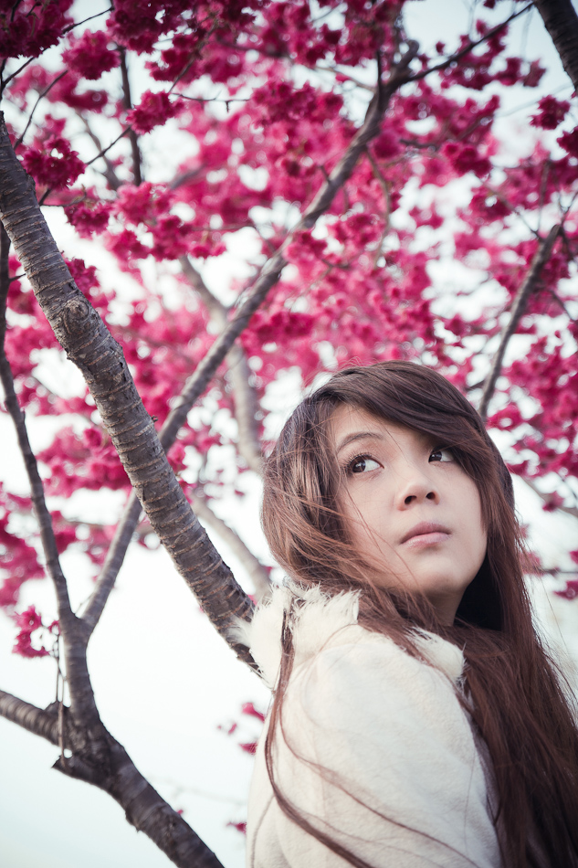 http://i.dcview.tw/gallery/201202/5526b26a408f08f92eb7651399a979cb.jpg