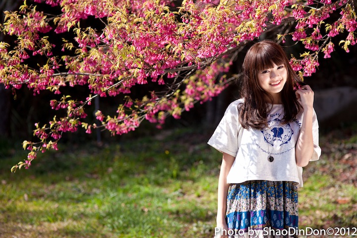 http://i.dcview.tw/gallery/201202/55ab7ffbaa1481153099c92e54dcf123.jpg