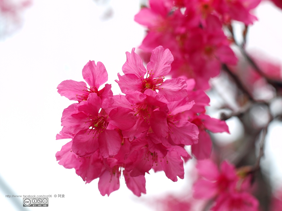 http://i.dcview.tw/gallery/201202/55b077ad491058adbfd16b92d027a65c.jpg
