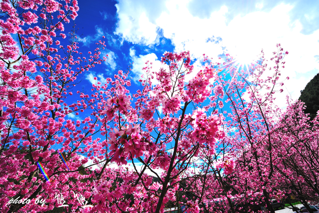 http://i.dcview.tw/gallery/201202/5af93397835712c7625a161fcace7df7.jpg