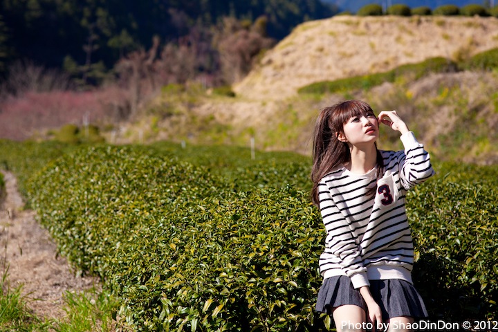 http://i.dcview.tw/gallery/201202/5b2879912fd228b089ce08fb96dd849c.jpg