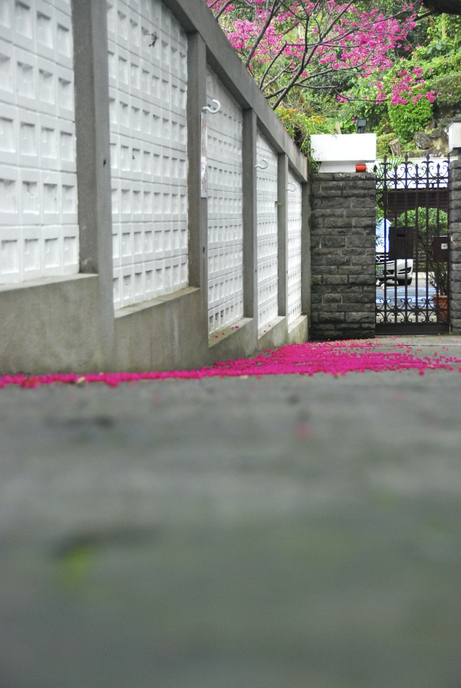 http://i.dcview.tw/gallery/201202/5b763984d04b3ca04fc68c24bdedf3ce.jpg