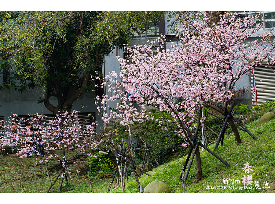 http://i.dcview.tw/gallery/201202/5d1ad054fa195c63e5ffe922e0c1e0a6.jpg