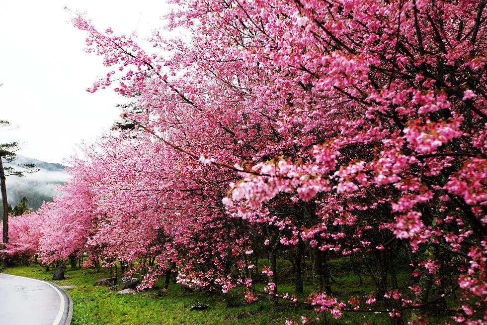http://i.dcview.tw/gallery/201202/5d3c561b5de19894bae70d644aea3e26.jpg