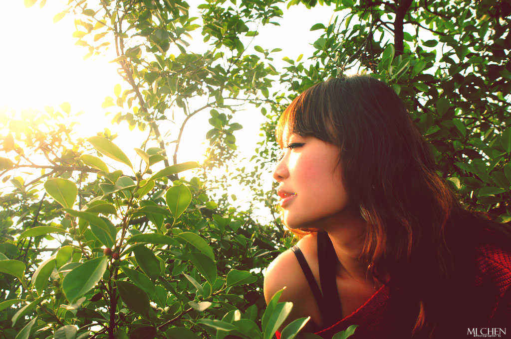 http://i.dcview.tw/gallery/201202/5d9ea5b46da8564e5c741fdefde684d3.jpg