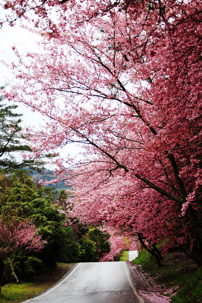 http://i.dcview.tw/gallery/201202/5ea2d1dfb885b38481dd1cfe02064ac4.jpg