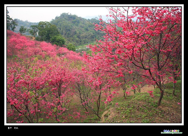 http://i.dcview.tw/gallery/201202/6003e41c44497b7932bb60e17f7d6ebb.jpg