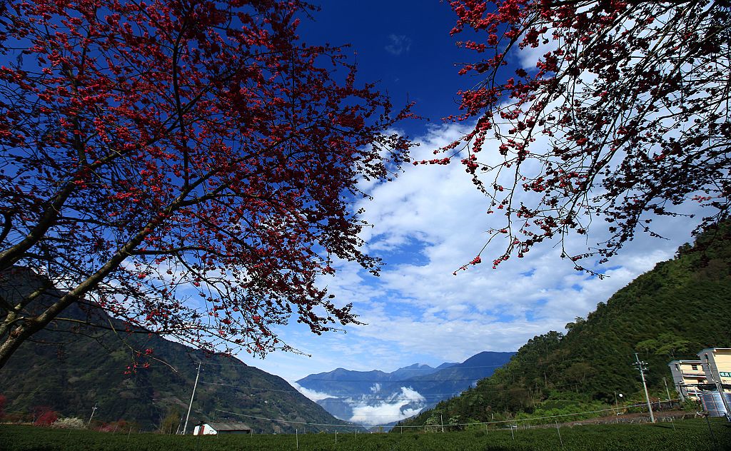 http://i.dcview.tw/gallery/201202/61fd7c587ffe753aa39836553cc4e1ed.jpg