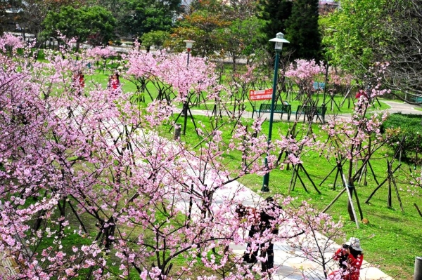 http://i.dcview.tw/gallery/201202/63a4c2d537b7d79b0120e49353076a72.jpg