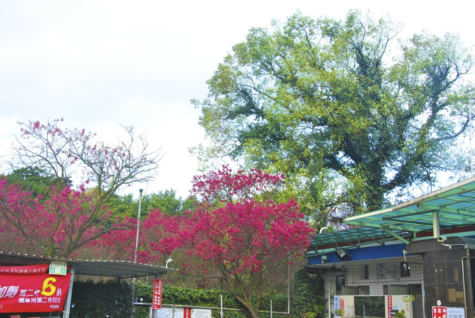 http://i.dcview.tw/gallery/201202/677bac473021589aedf69b9d18b07025.jpg
