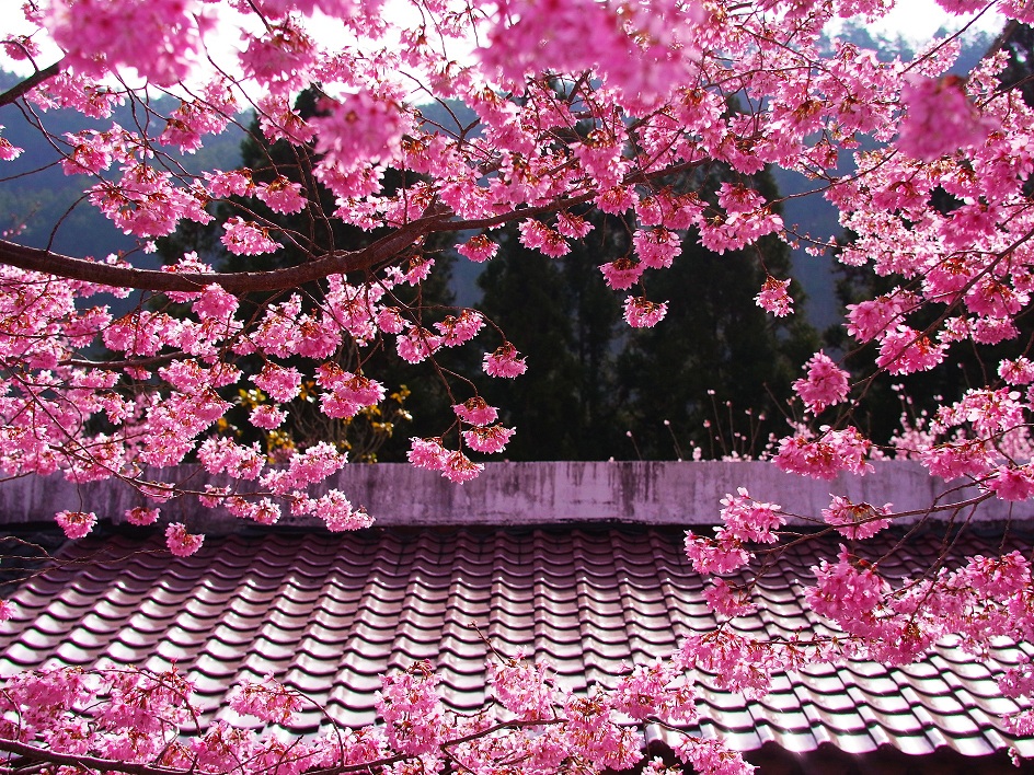 http://i.dcview.tw/gallery/201202/69502d4fc08a46e703fcf0fb895e0b51.jpg