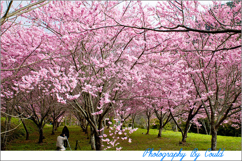 http://i.dcview.tw/gallery/201202/6969b002709014741855a9672e7d5710.jpg