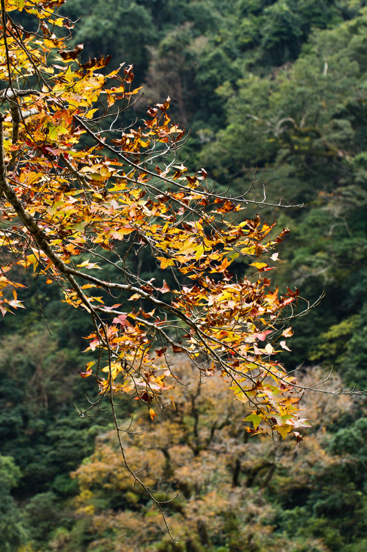 http://i.dcview.tw/gallery/201202/6993750e37517b11d133492ea6a35c35.jpg