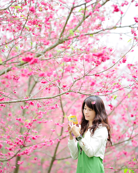 http://i.dcview.tw/gallery/201202/6b0dfe71cca49a129b5c97e78a111069.jpg