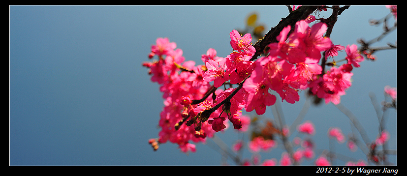 http://i.dcview.tw/gallery/201202/6cd138a7690cc5c457e22b2f90d81d62.jpg