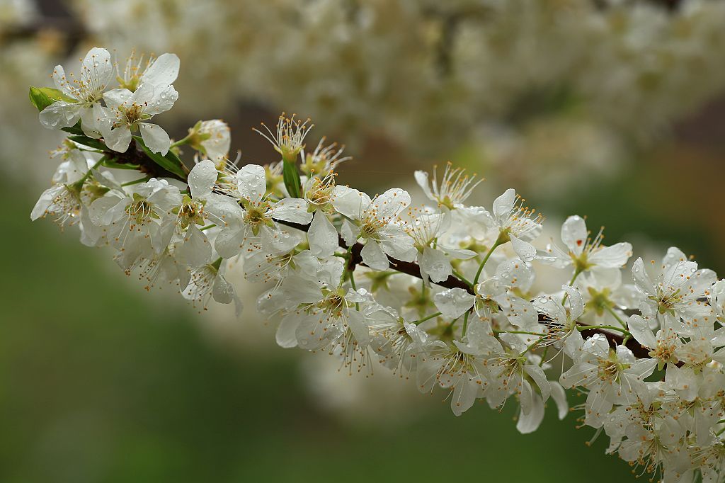 http://i.dcview.tw/gallery/201202/6eab17cff5737f33dde994be58403fa6.jpg