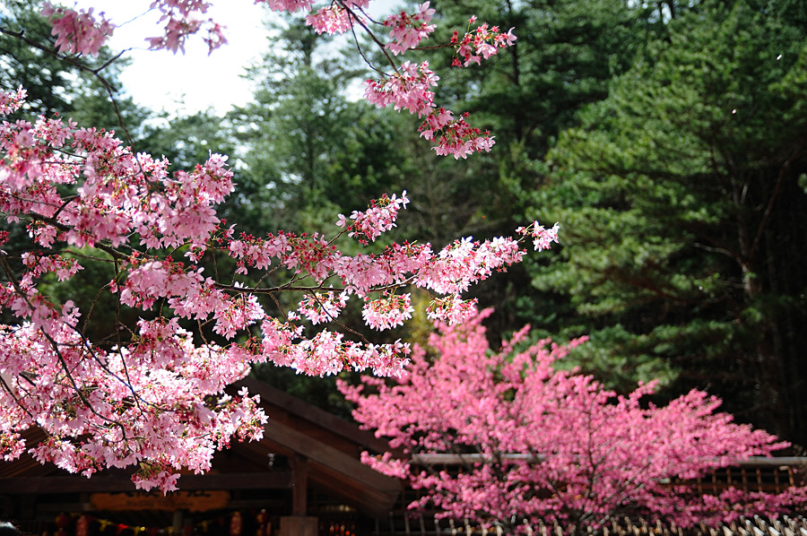 http://i.dcview.tw/gallery/201202/6f943b7ee09ef1b6617a6ab388bc486f.jpg