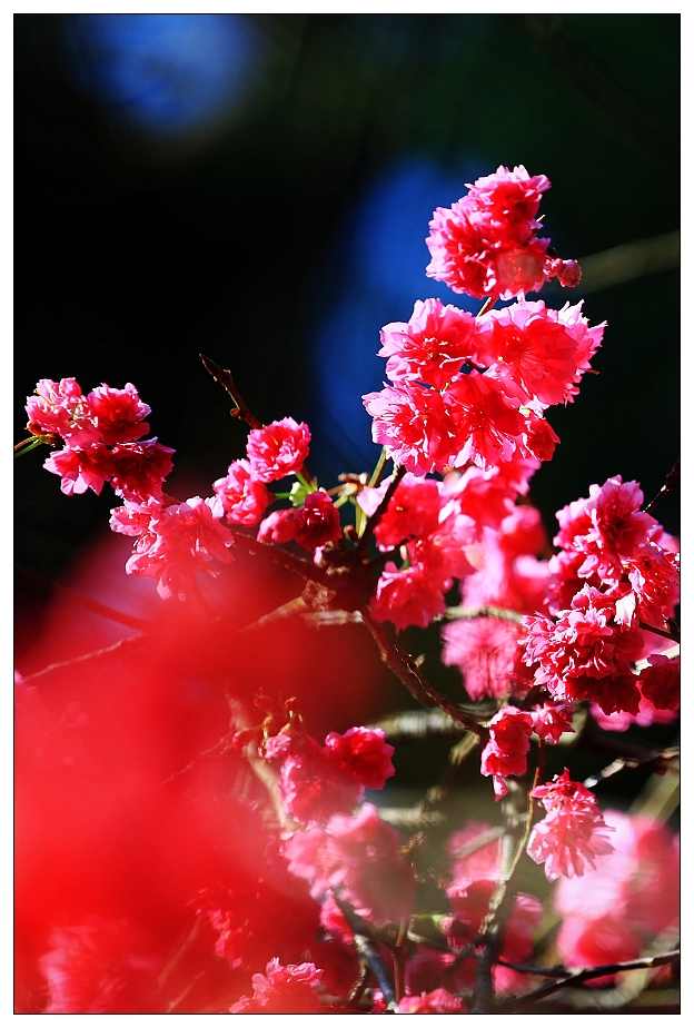 http://i.dcview.tw/gallery/201202/734f0390633e89f618ead9b5e5947e04.jpg