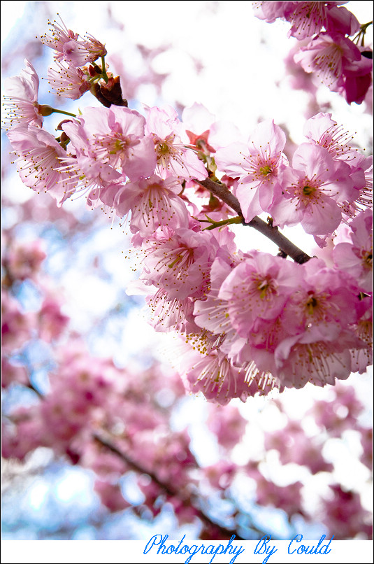 http://i.dcview.tw/gallery/201202/73c5909d108e1b7d42dac22db7b5c85e.jpg