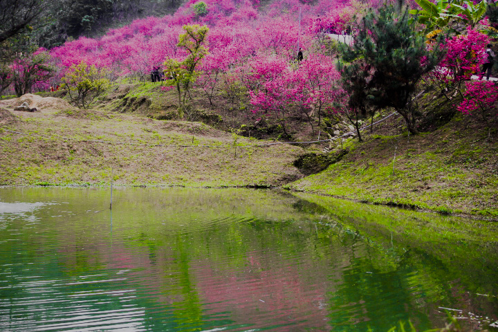 http://i.dcview.tw/gallery/201202/7456f33289101ed1c1b3e4fc371aa1ea.jpg