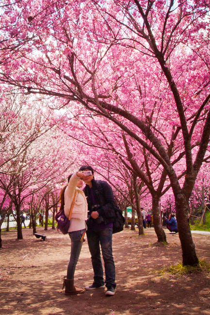 http://i.dcview.tw/gallery/201202/748ead358034e3d0c71fc4451d23625c.jpg