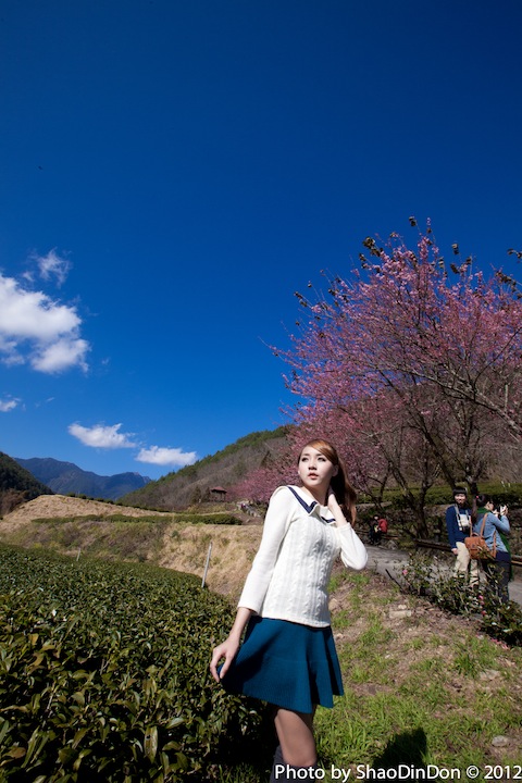 http://i.dcview.tw/gallery/201202/778cdab7e16f3ef6f6cc444183d071a6.jpg