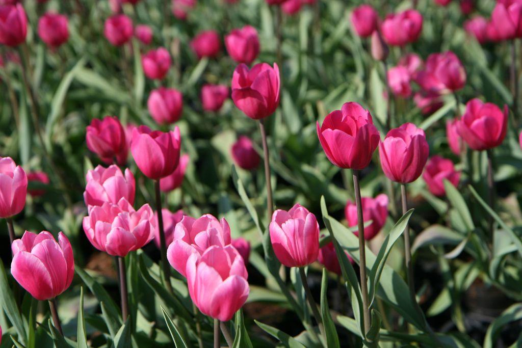 http://i.dcview.tw/gallery/201202/77f0a728eb0fbf6ea61eae7a6eb811c8.jpg
