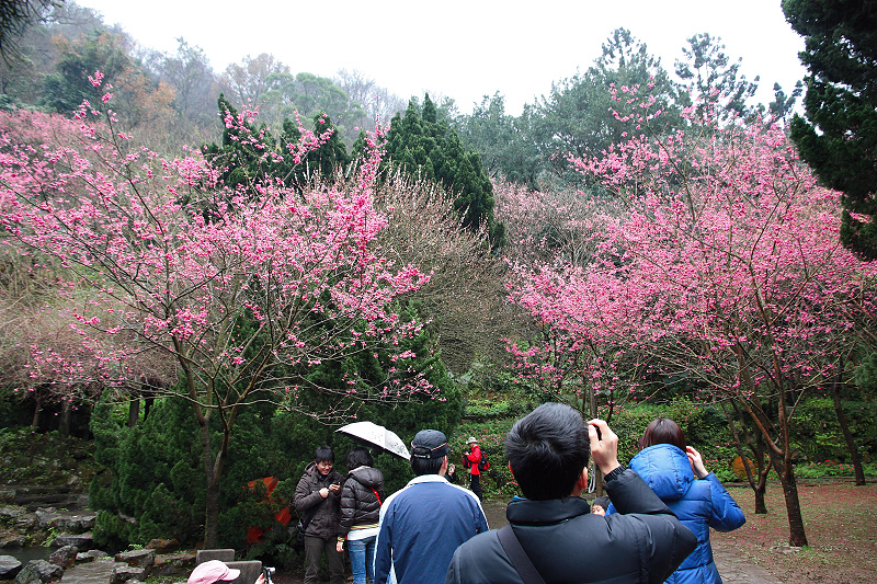 http://i.dcview.tw/gallery/201202/78783e6ab16923904937c8c94c0e2079.jpg