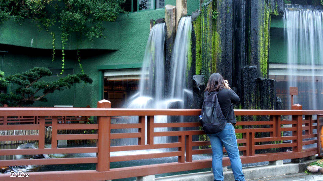 http://i.dcview.tw/gallery/201202/7a94a6baa3aabd28cd39ad304e54584f.jpg