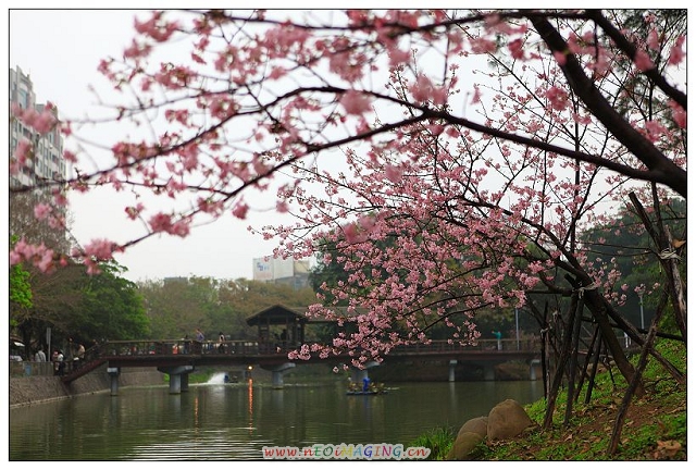 http://i.dcview.tw/gallery/201202/7bfc3bdfc4cdfbd5c1eeed296b562ac6.jpg